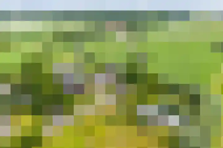 Vermeersweg 17 Twello thumbnail 26
