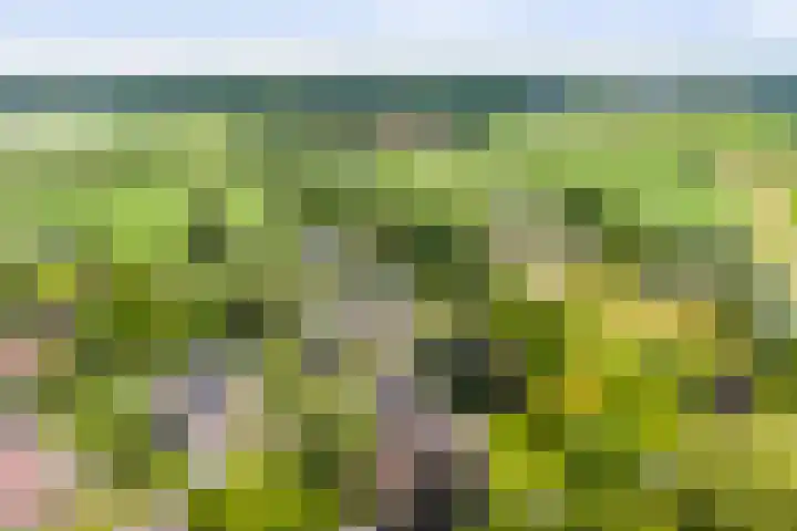 Vermeersweg 17 Twello thumbnail 29