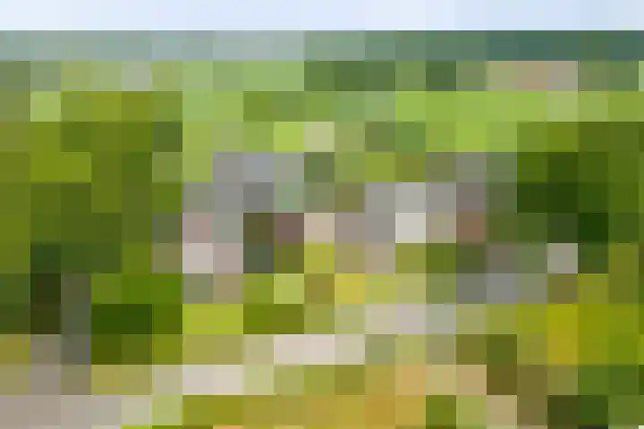 Vermeersweg 17 Twello thumbnail 30