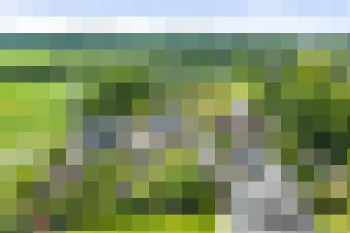 Vermeersweg 17 Twello thumbnail 31