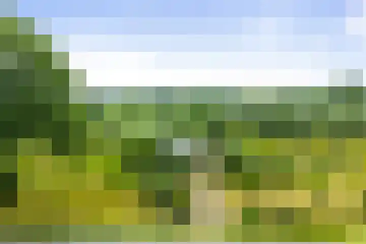 Vermeersweg 17 Twello thumbnail 32