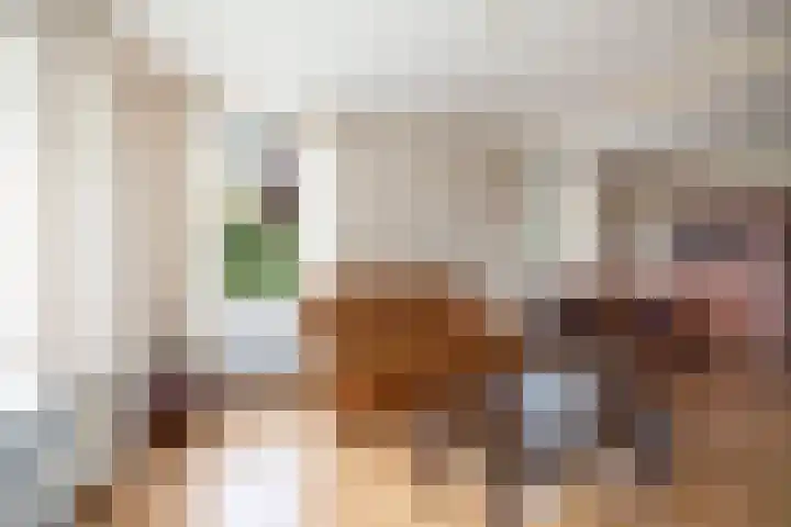 Vermeersweg 17 Twello thumbnail 5
