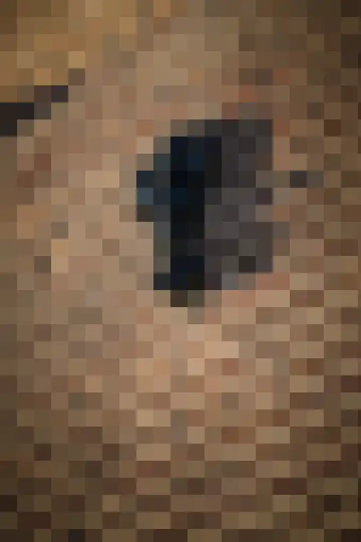 Vermeersweg 63 A Twello thumbnail 11