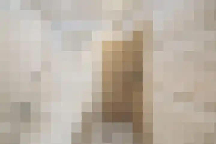 Vermeersweg 63 A Twello thumbnail 19