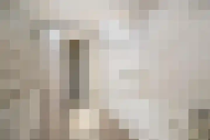 Vermeersweg 63 A Twello thumbnail 20