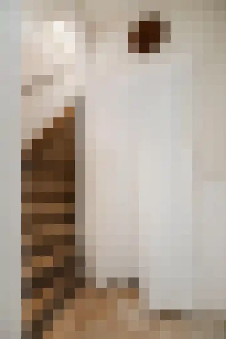 Vermeersweg 63 A Twello thumbnail 21