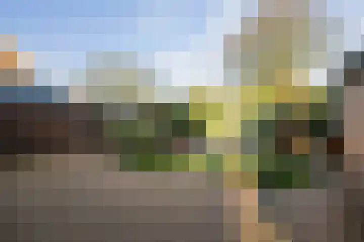 Vermeersweg 63 A Twello thumbnail 27