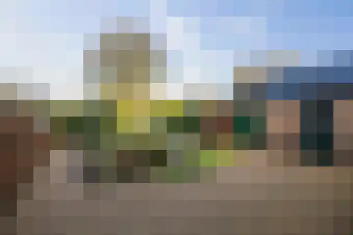 Vermeersweg 63 A Twello thumbnail 28