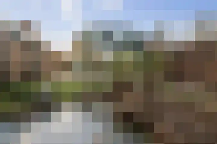 Vermeersweg 63 A Twello thumbnail 29
