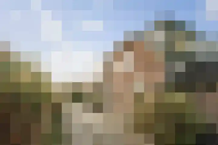 Vermeersweg 63 A Twello thumbnail 30
