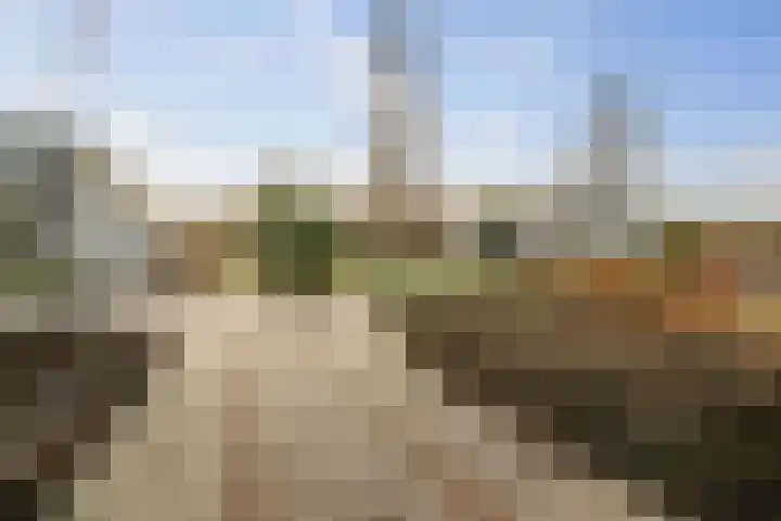 Vermeersweg 63 A Twello thumbnail 31