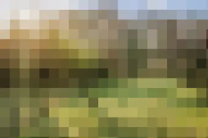 Vermeersweg 63 A Twello thumbnail 32