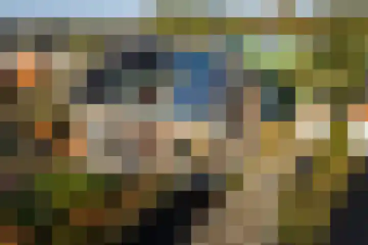 Vermeersweg 63 A Twello thumbnail 34