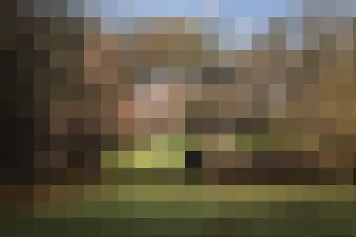 Vermeersweg 63 A Twello thumbnail 35