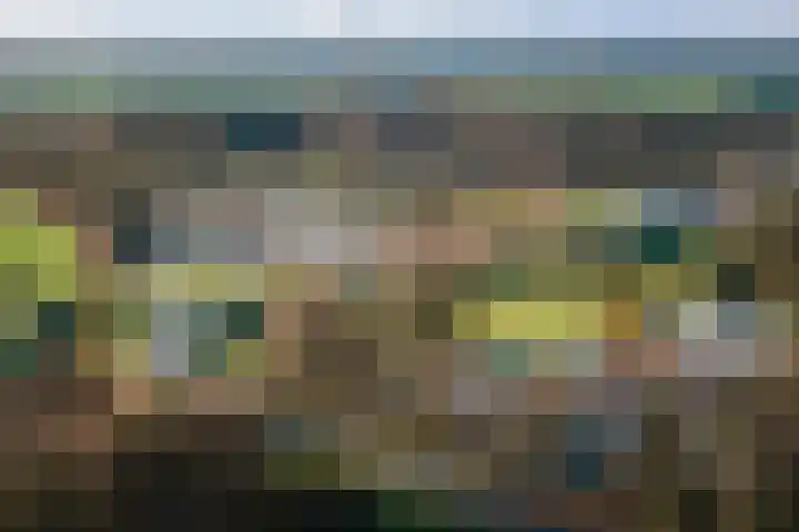 Vermeersweg 63 A Twello thumbnail 36
