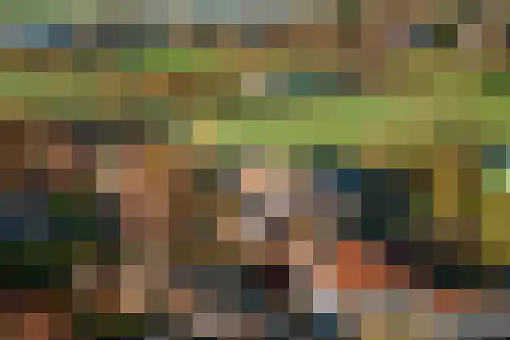 Vermeersweg 63 A Twello thumbnail 38