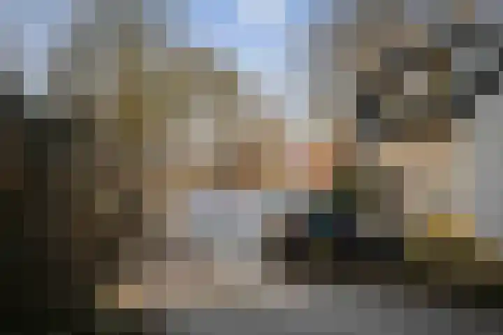 Vermeersweg 63 A Twello thumbnail 39