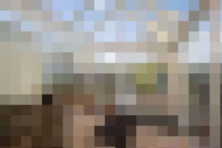 Vermeersweg 63 A Twello thumbnail 4