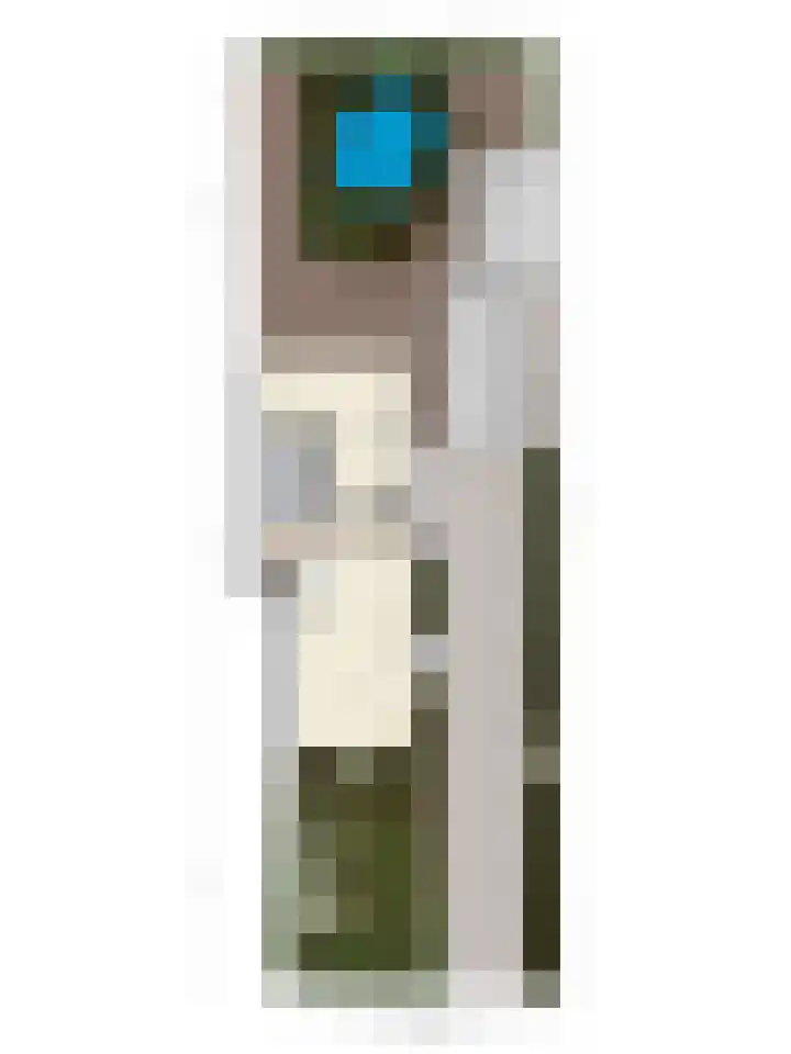 Vermeersweg 63 A Twello thumbnail 42