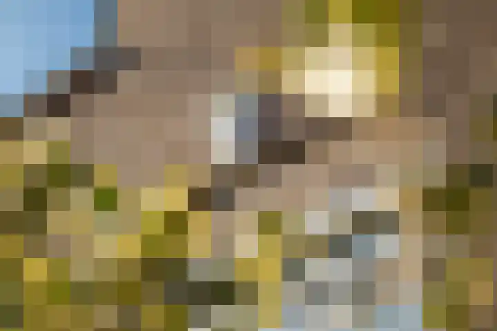 Vermeersweg 63 A Twello thumbnail 6