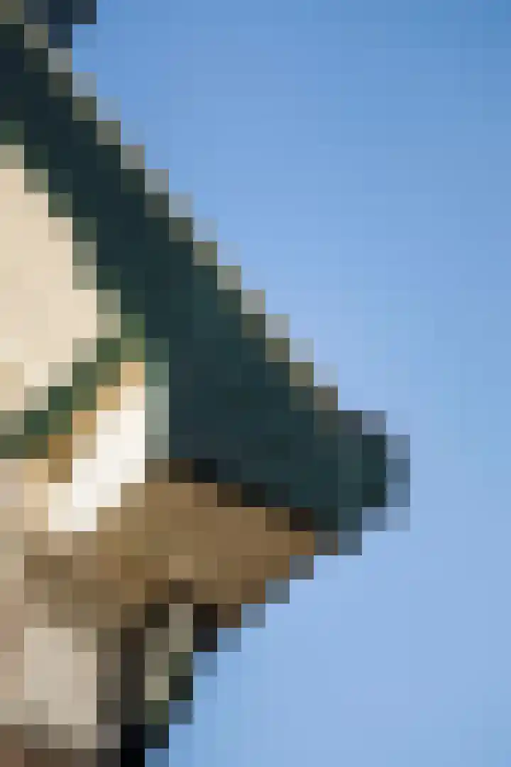 Vermeersweg 63 A Twello thumbnail 7