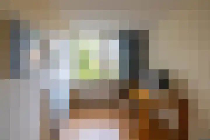 Vermeerweg 7 Eelde thumbnail 13