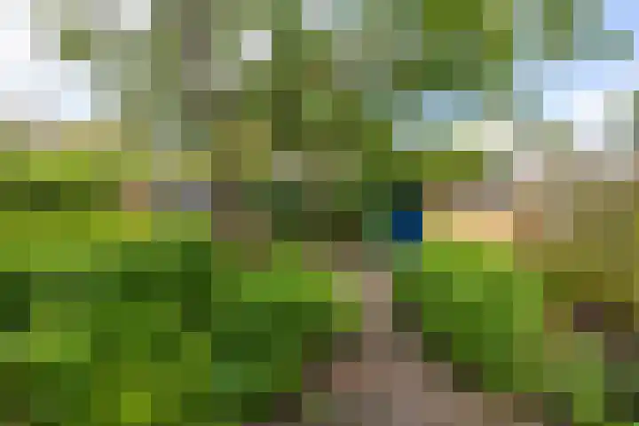 Vermeerweg 7 Eelde thumbnail 19