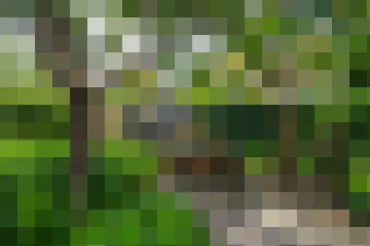 Vermeerweg 7 Eelde thumbnail 20