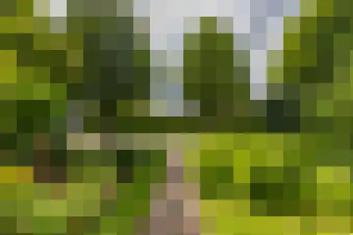 Vermeerweg 7 Eelde thumbnail 22
