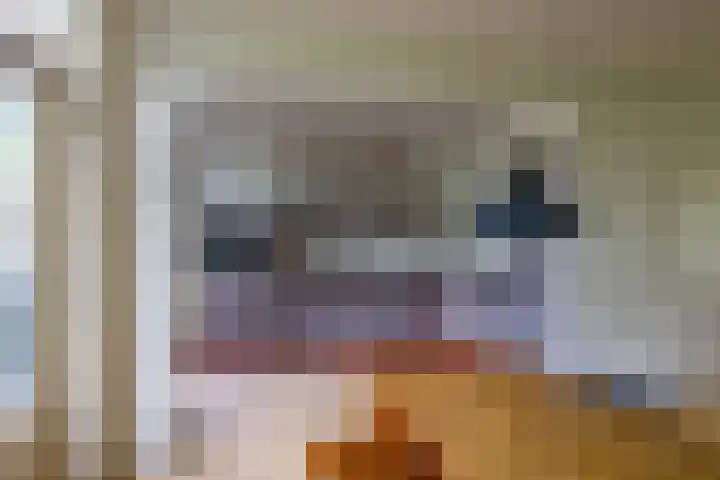 Vermeerweg 7 Eelde thumbnail 7