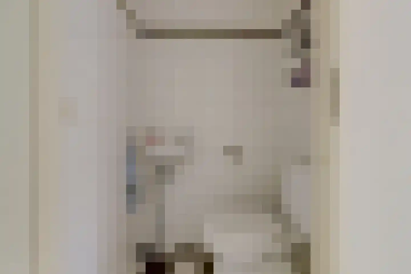 Vermeulenlaan 15 Den Haag thumbnail 10
