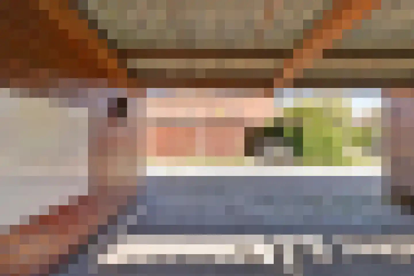 Vermeulenlaan 15 Den Haag thumbnail 15