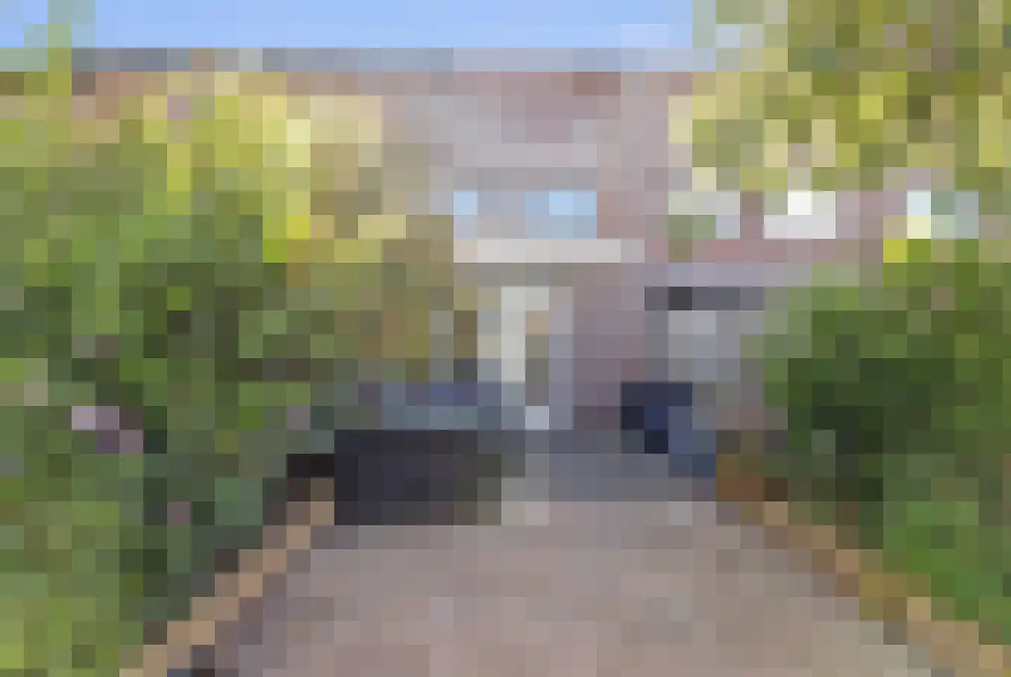 Vermeulenlaan 15 Den Haag thumbnail 16