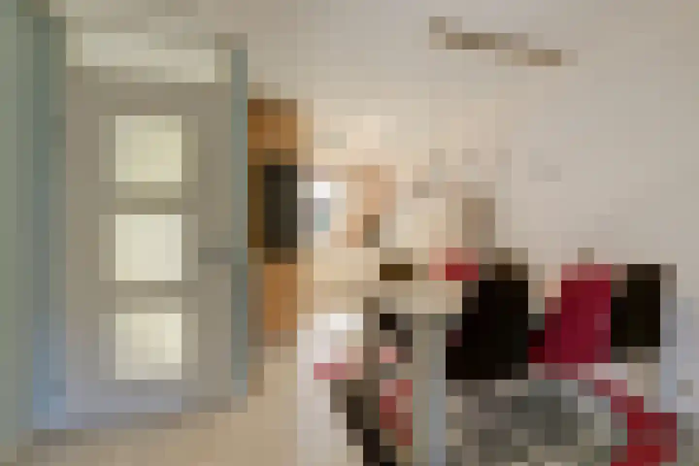 Vermeulenlaan 15 Den Haag thumbnail 19