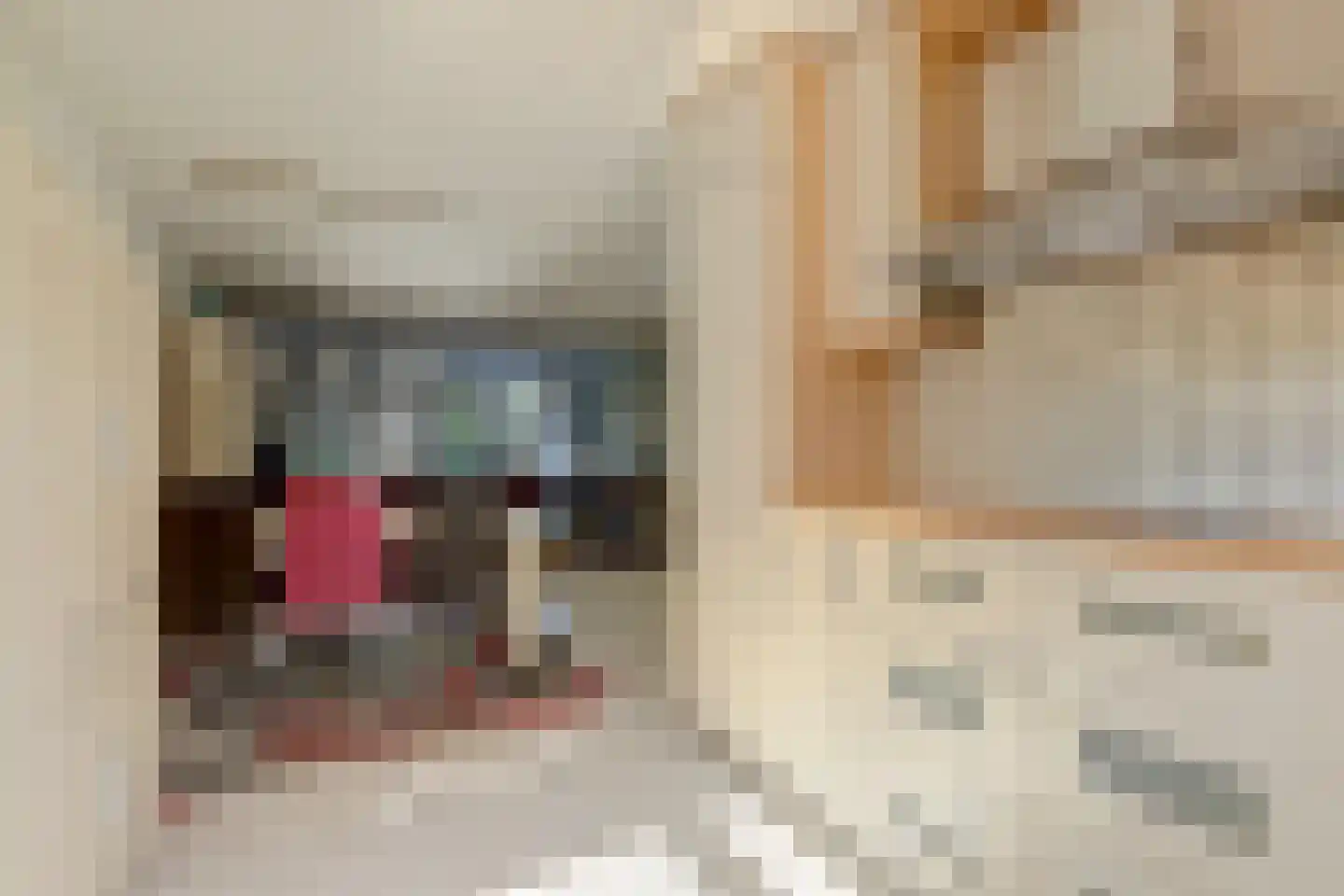 Vermeulenlaan 15 Den Haag thumbnail 21