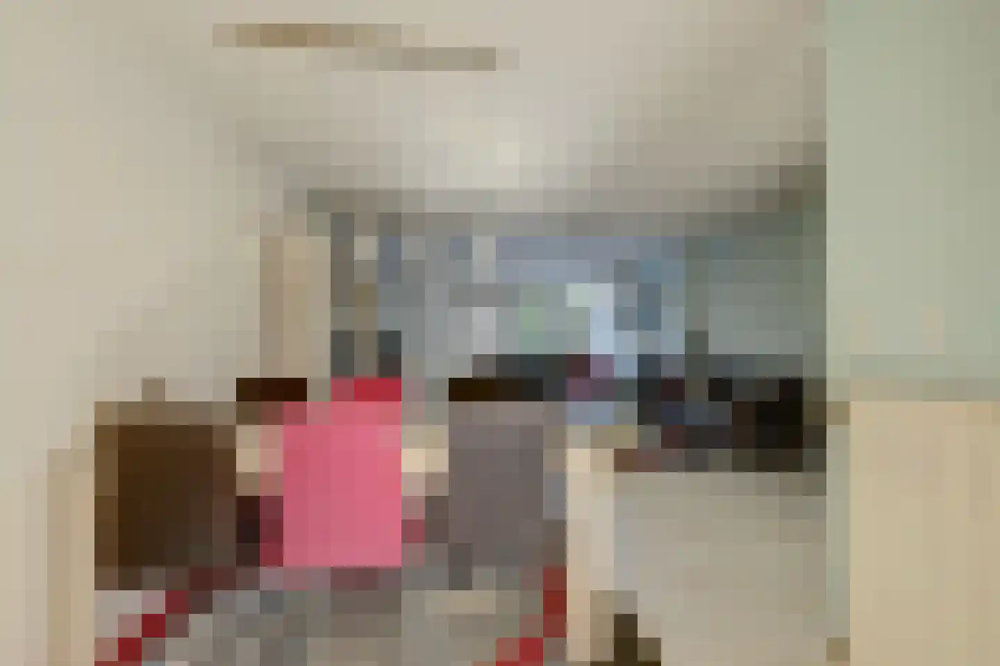 Vermeulenlaan 15 Den Haag thumbnail 22