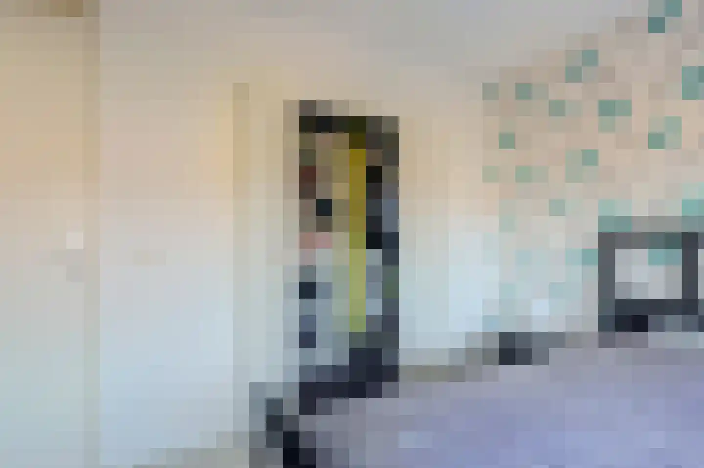 Vermeulenlaan 15 Den Haag thumbnail 25