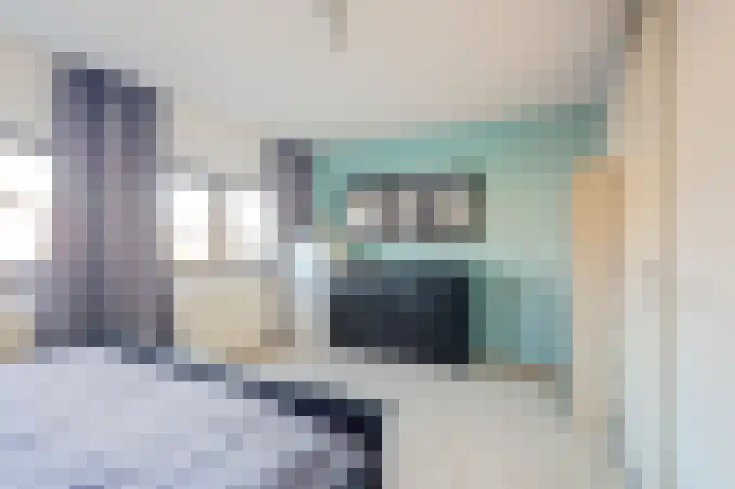 Vermeulenlaan 15 Den Haag thumbnail 26
