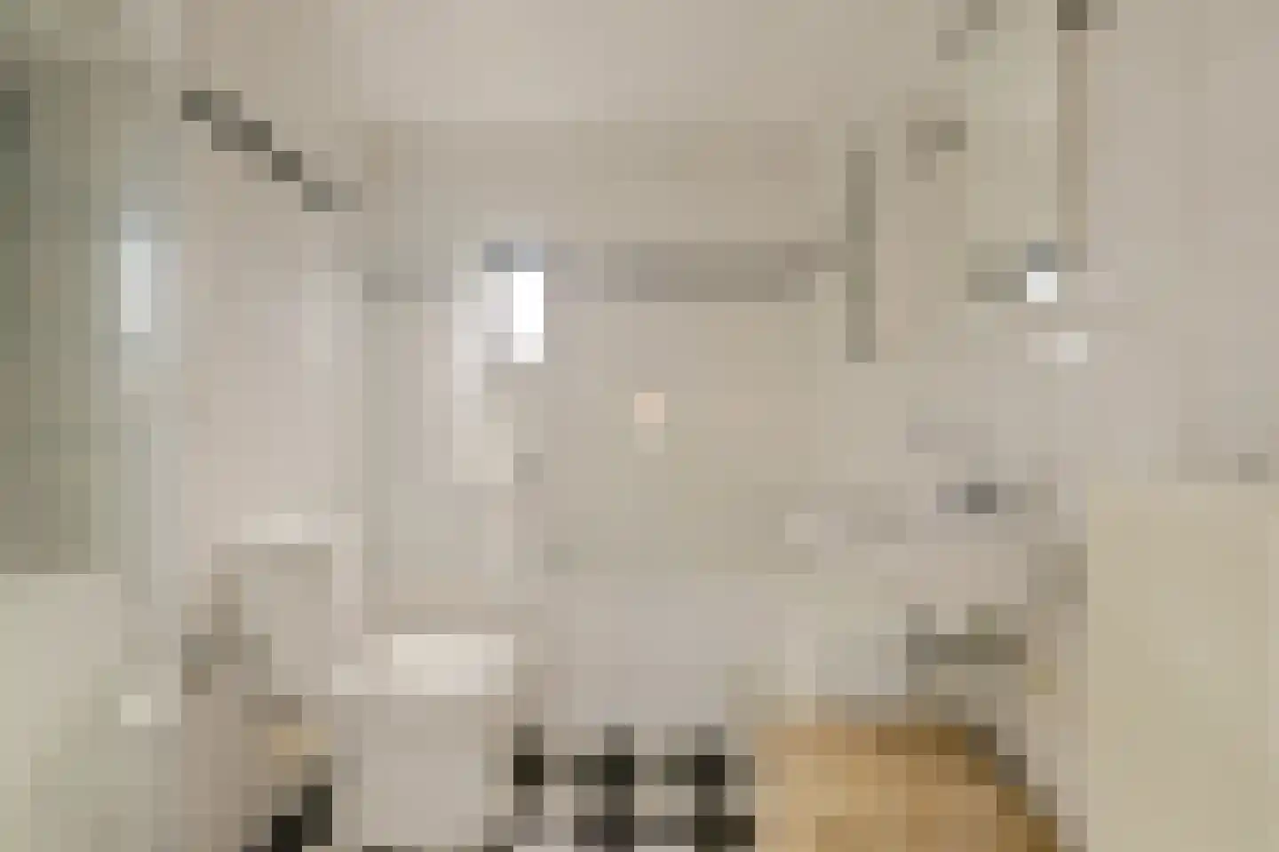 Vermeulenlaan 15 Den Haag thumbnail 27