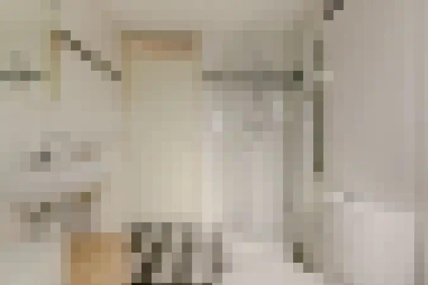 Vermeulenlaan 15 Den Haag thumbnail 28
