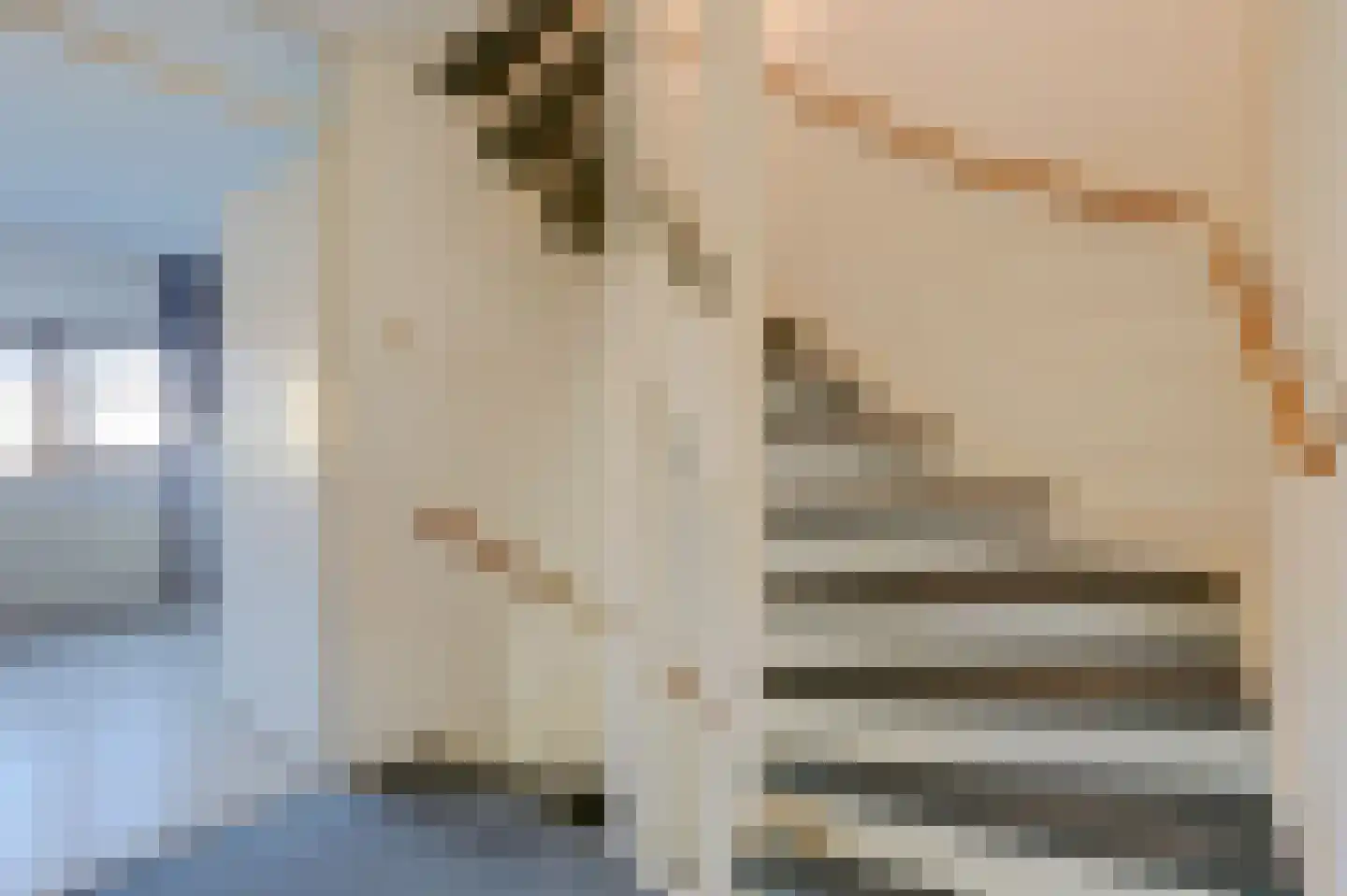 Vermeulenlaan 15 Den Haag thumbnail 31