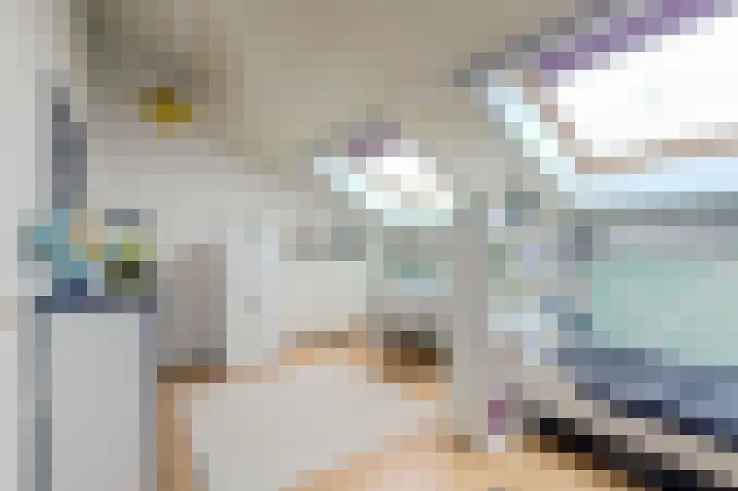 Vermeulenlaan 15 Den Haag thumbnail 34