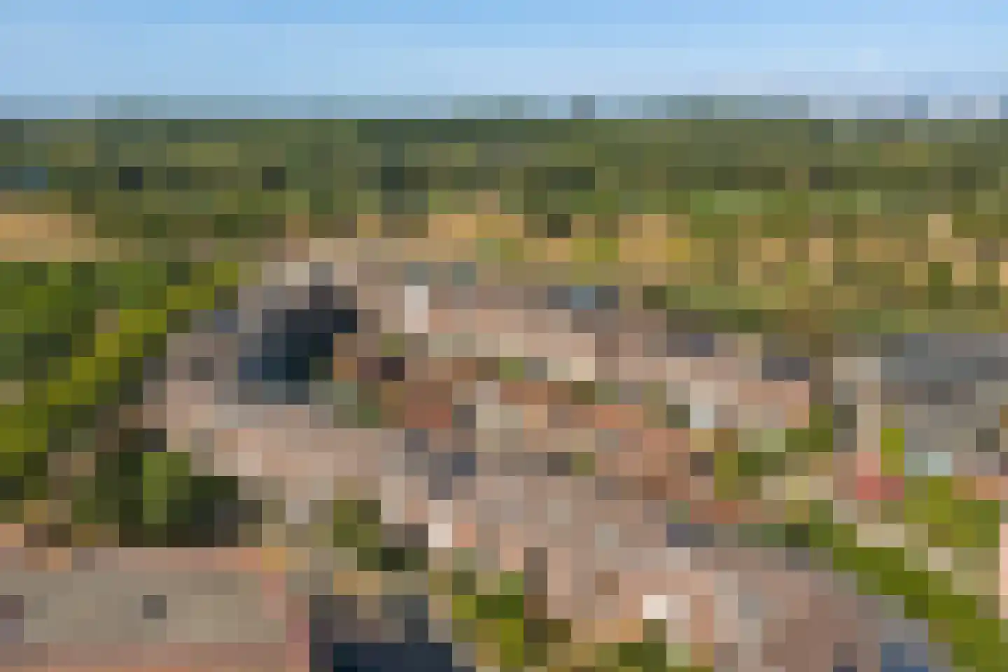 Vermeulenlaan 15 Den Haag thumbnail 36