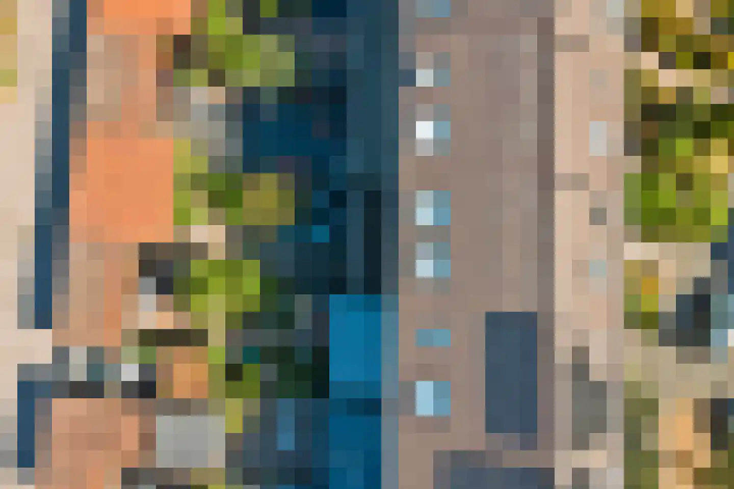 Vermeulenlaan 15 Den Haag thumbnail 42