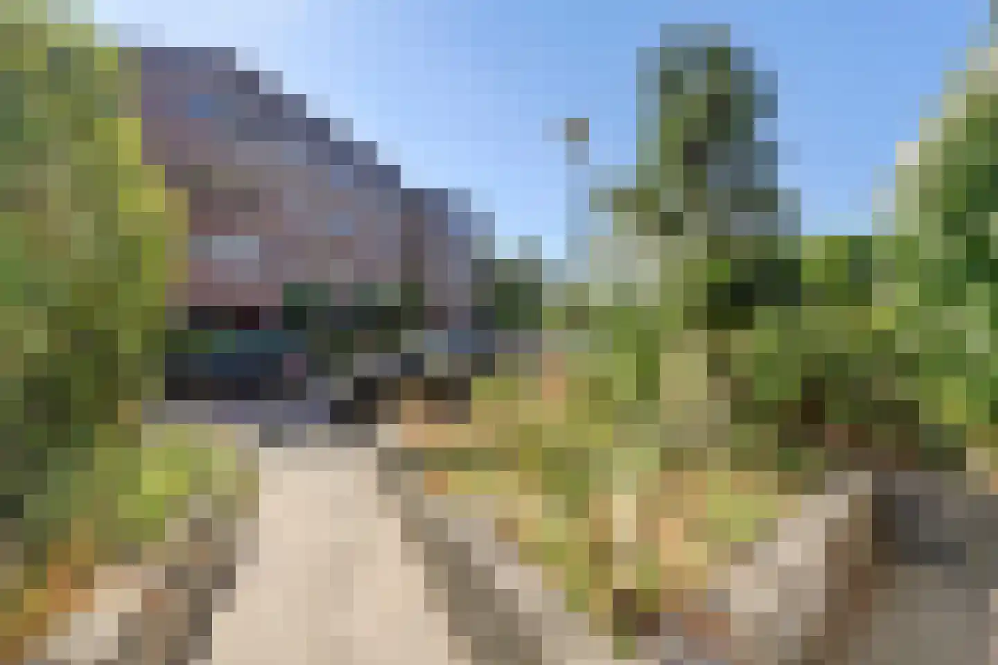 Vermeulenlaan 15 Den Haag thumbnail 45