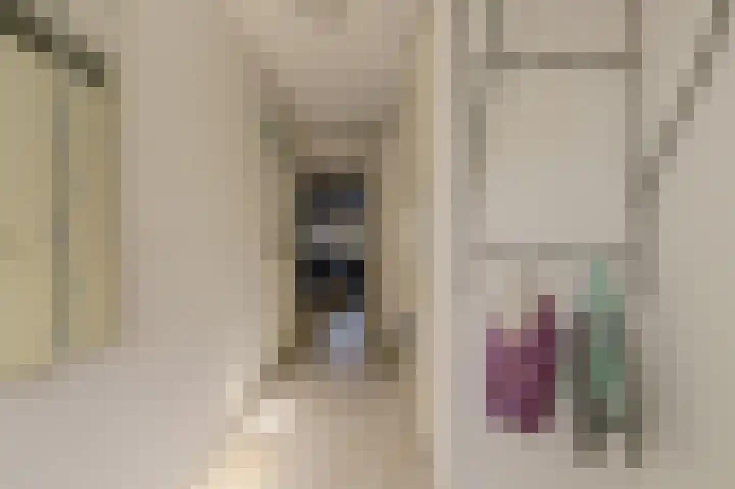 Vermeulenlaan 15 Den Haag thumbnail 8