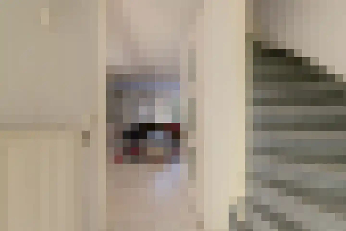 Vermeulenlaan 15 Den Haag thumbnail 9