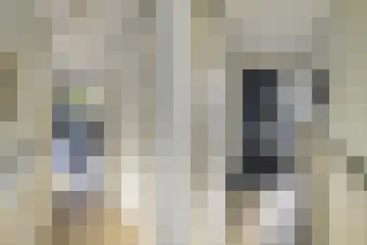 Vermeulenlaan 3 Den Haag thumbnail 11