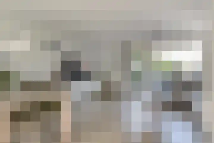 Vermeulenlaan 3 Den Haag thumbnail 13