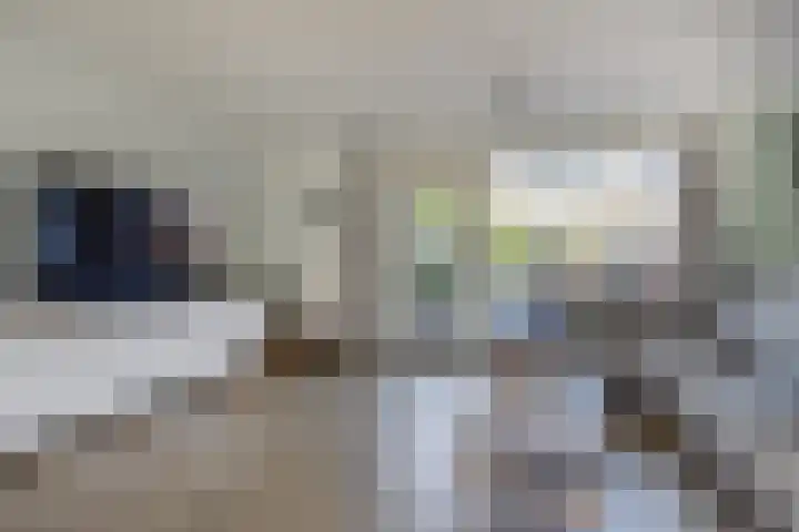 Vermeulenlaan 3 Den Haag thumbnail 14